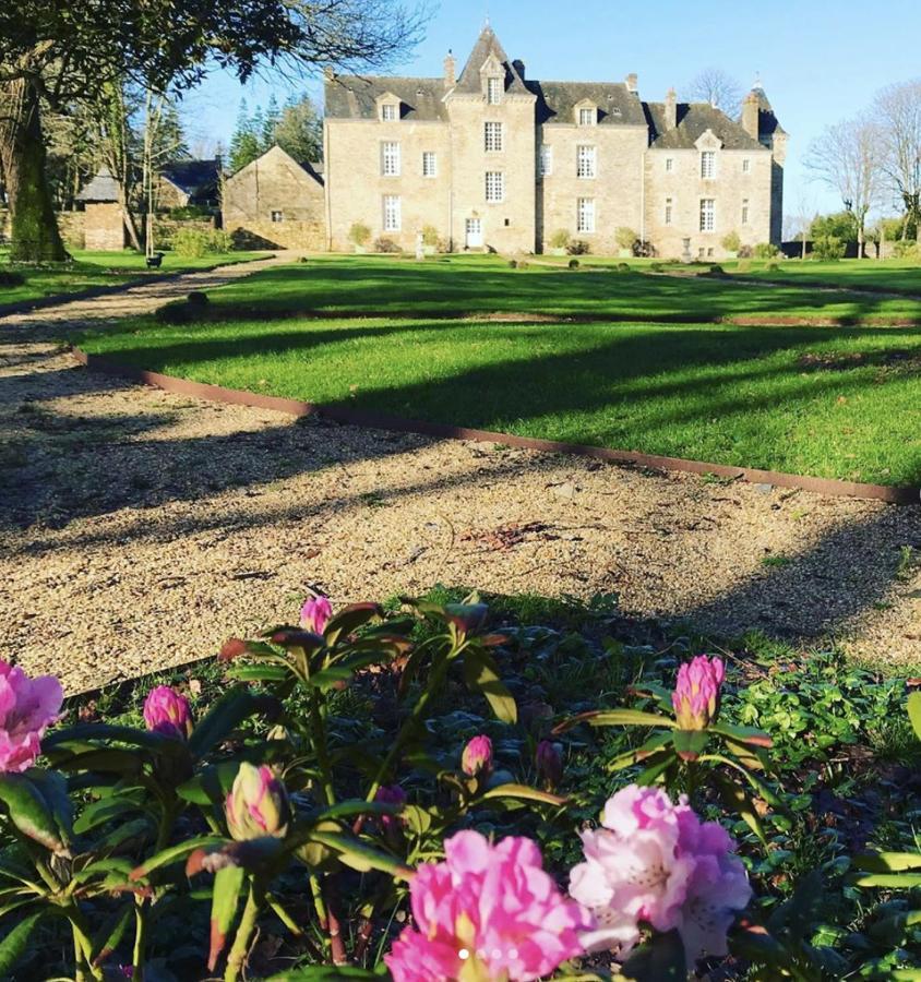 Chateau De Cadouzan Saint-Dolay Buitenkant foto